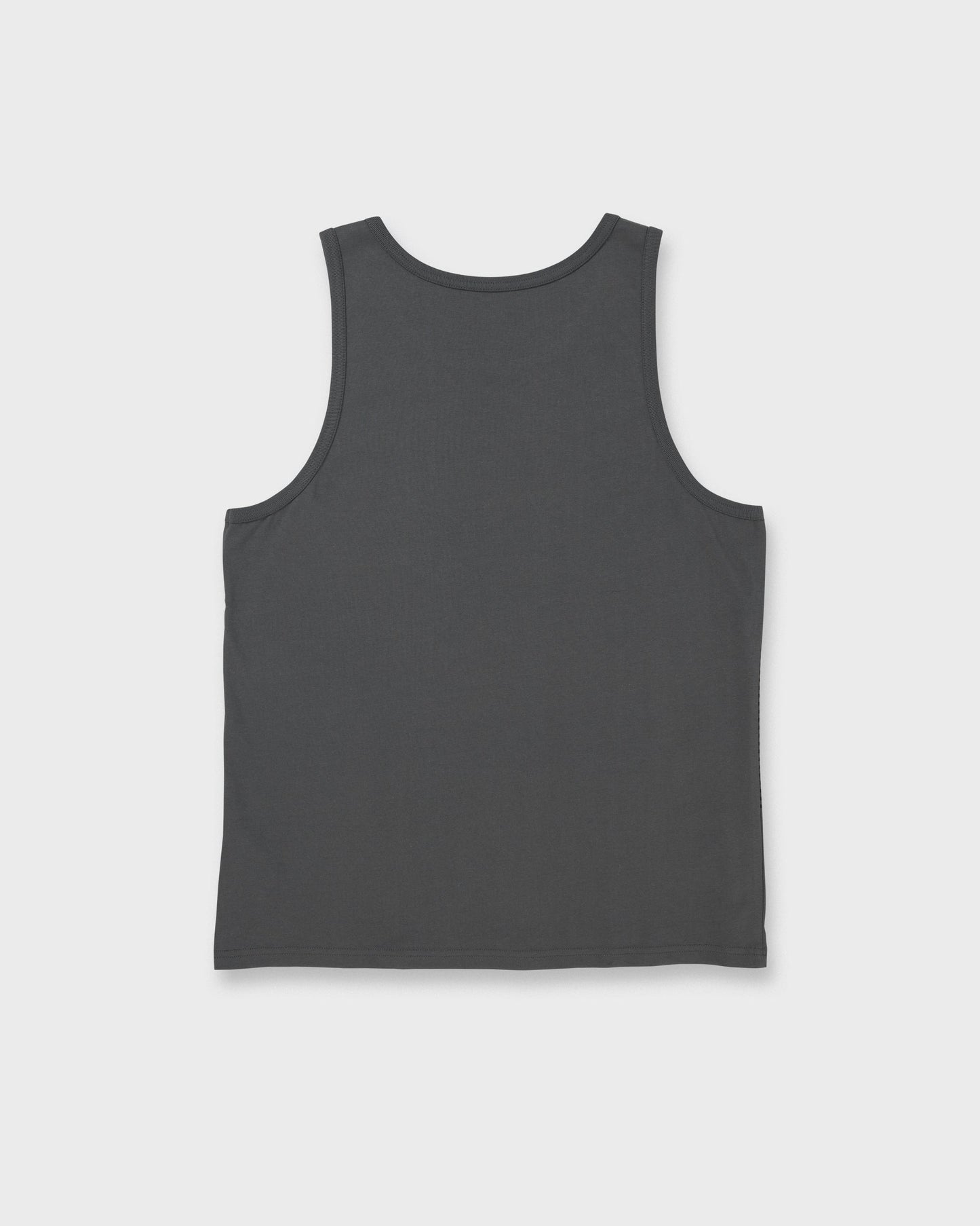 Tijuana Striped Tank - Iron Gate