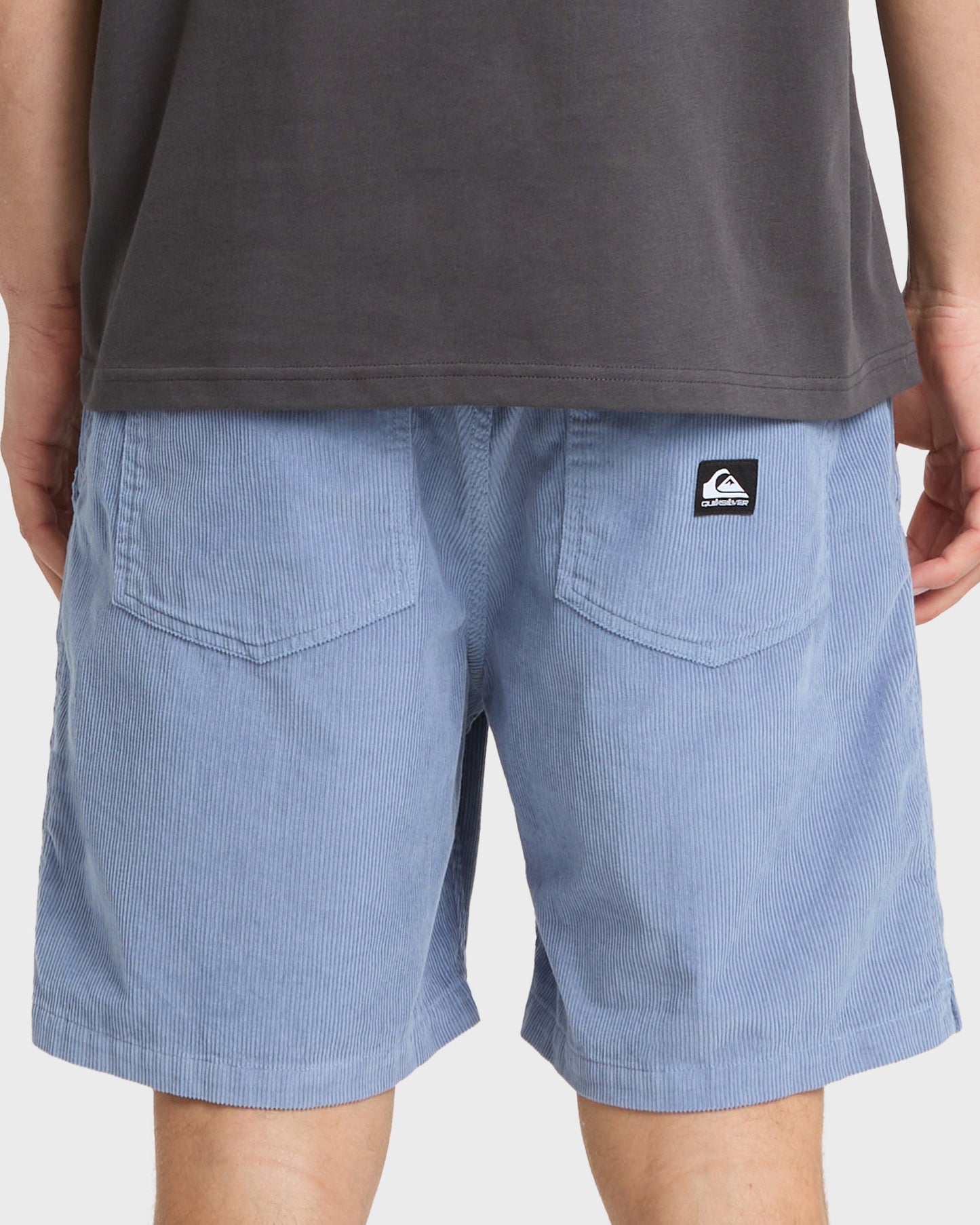 Taxer Cord 18" Elastic Waist Shorts - Infinity