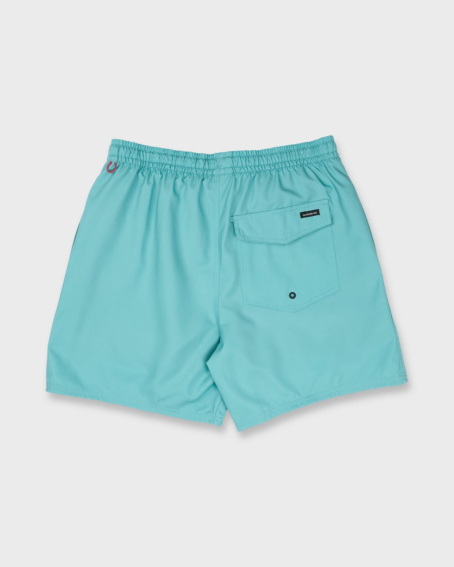 Everyday Solid 17" Swim Trunks - Aqua