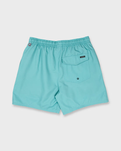 Everyday Solid 17" Swim Trunks - Aqua