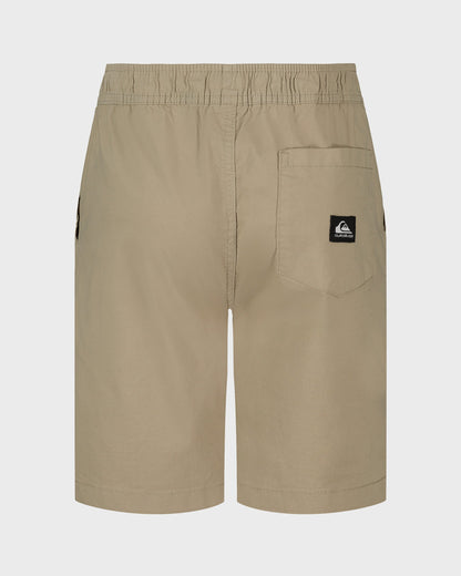 Boys Taxer Shorts