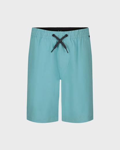 Little Boys Taxer Amphibian Hybrid Shorts