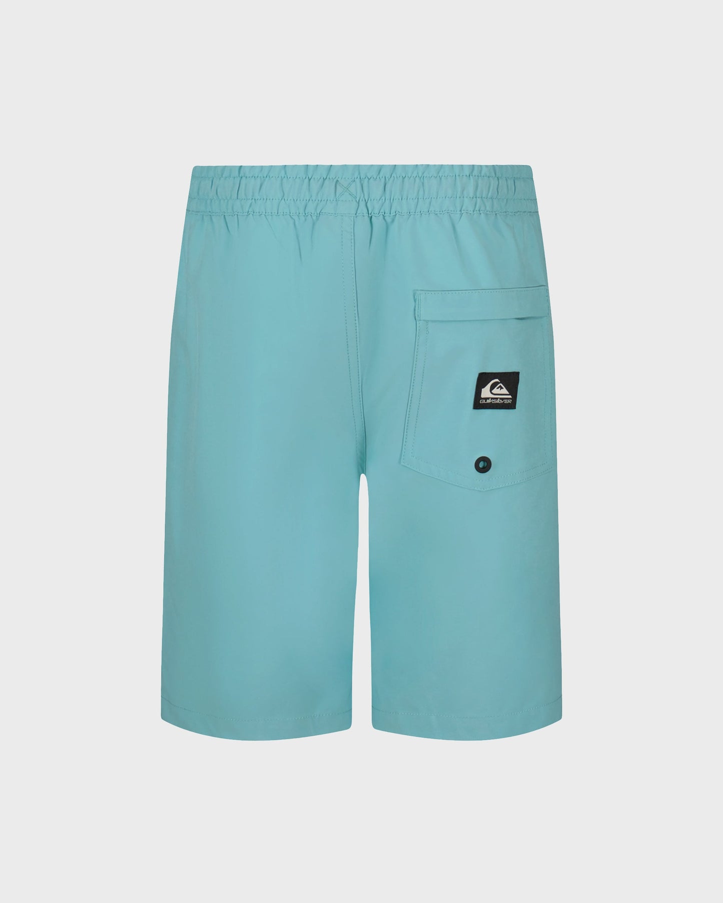 Little Boys Taxer Amphibian Hybrid Shorts