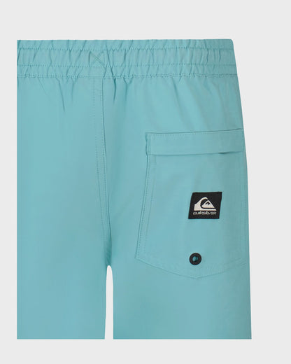 Little Boys Taxer Amphibian Hybrid Shorts
