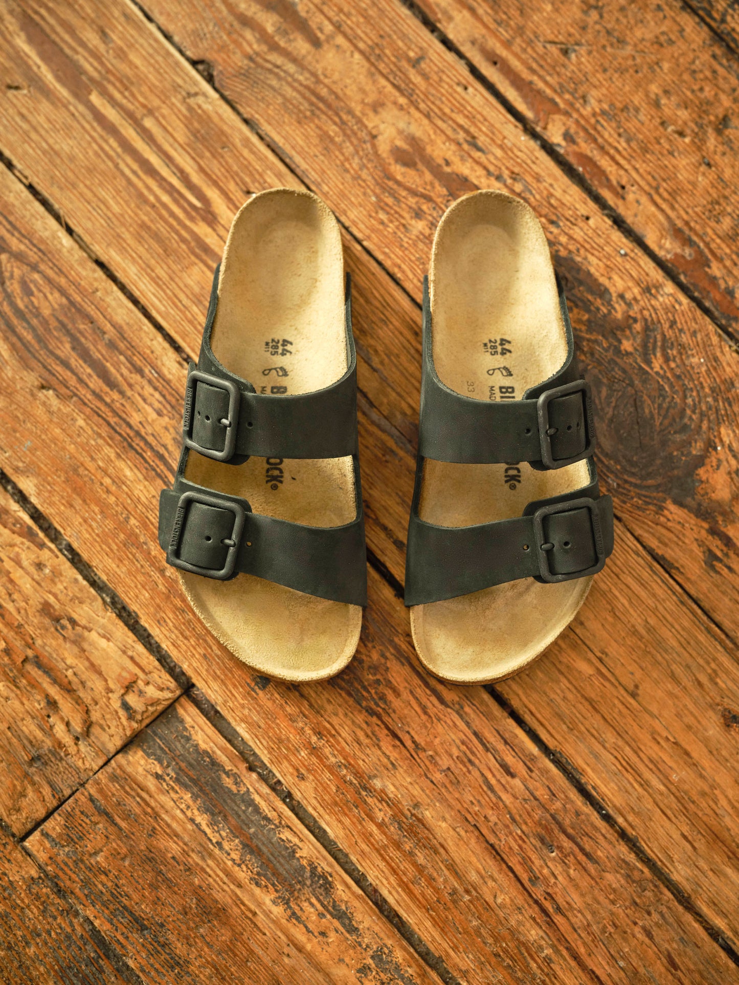 Arizona Wire Buckle - Black