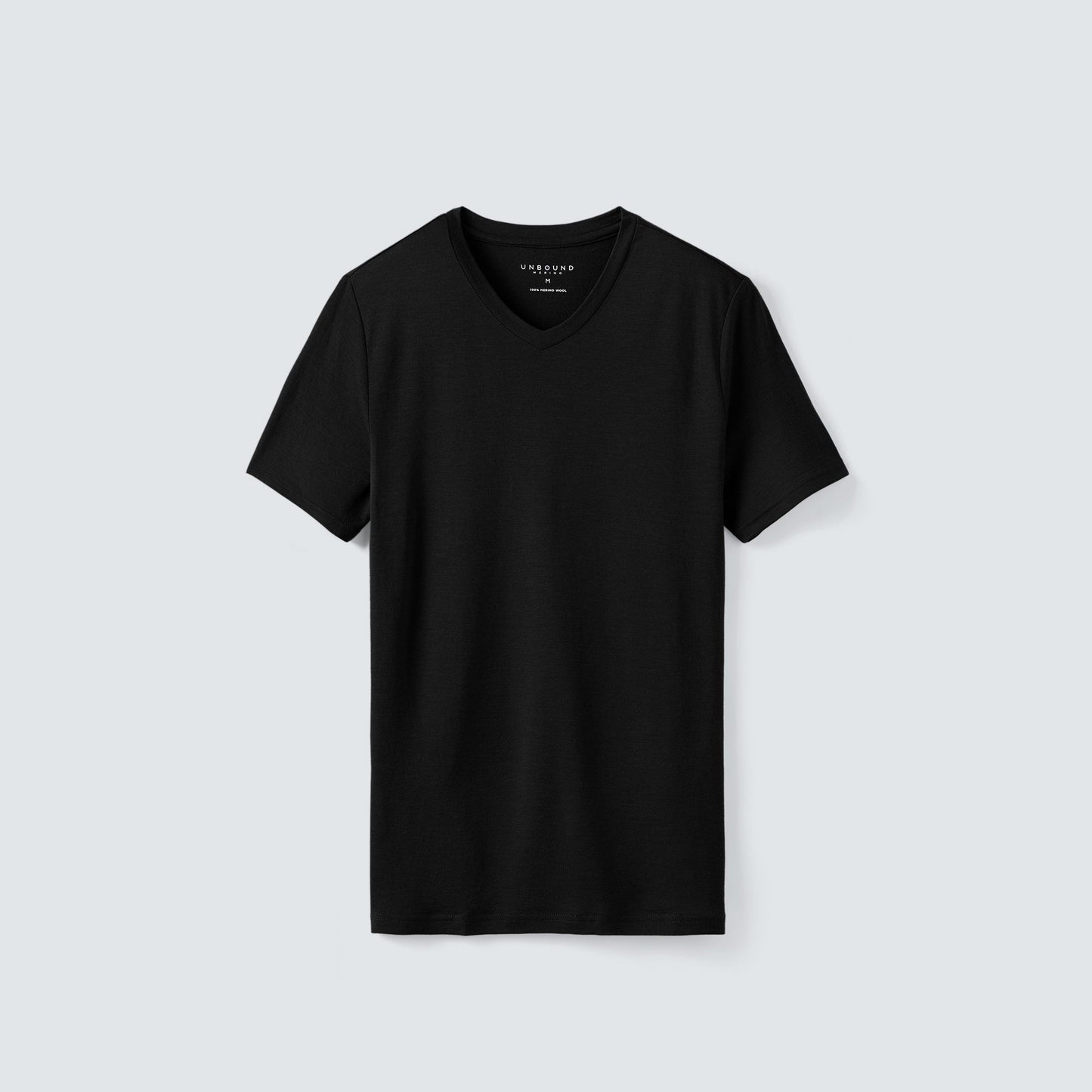 Men's Tall Merino V-Neck T-Shirt