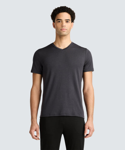 Men's Tall Merino V-Neck T-Shirt